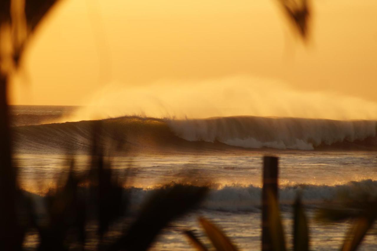 Alive Beach House Transito Buitenkant foto